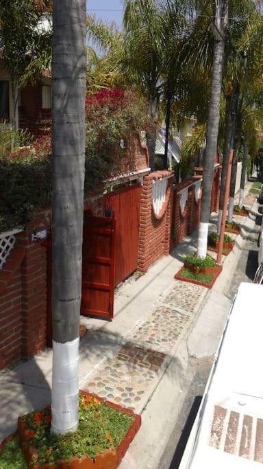 Amazingly Romantic Vacation For Your Honeymoon Tijuana Zewnętrze zdjęcie