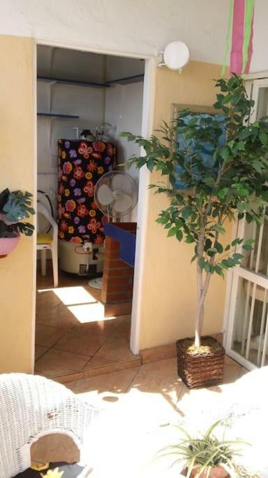 Amazingly Romantic Vacation For Your Honeymoon Tijuana Zewnętrze zdjęcie
