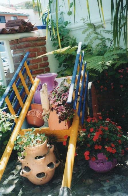 Amazingly Romantic Vacation For Your Honeymoon Tijuana Zewnętrze zdjęcie