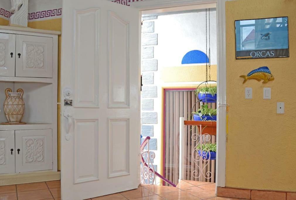 Amazingly Romantic Vacation For Your Honeymoon Tijuana Zewnętrze zdjęcie